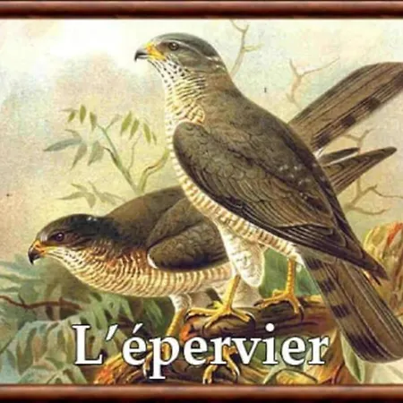 Chalet L'epervier Lejlighed *